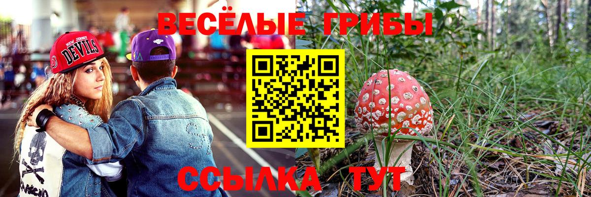 Полысаево  как найти закладки  Псилоцибиновые грибы Cubensis  Вход с VPN  Псилоцибиновые грибы Psilocybine cubensis 